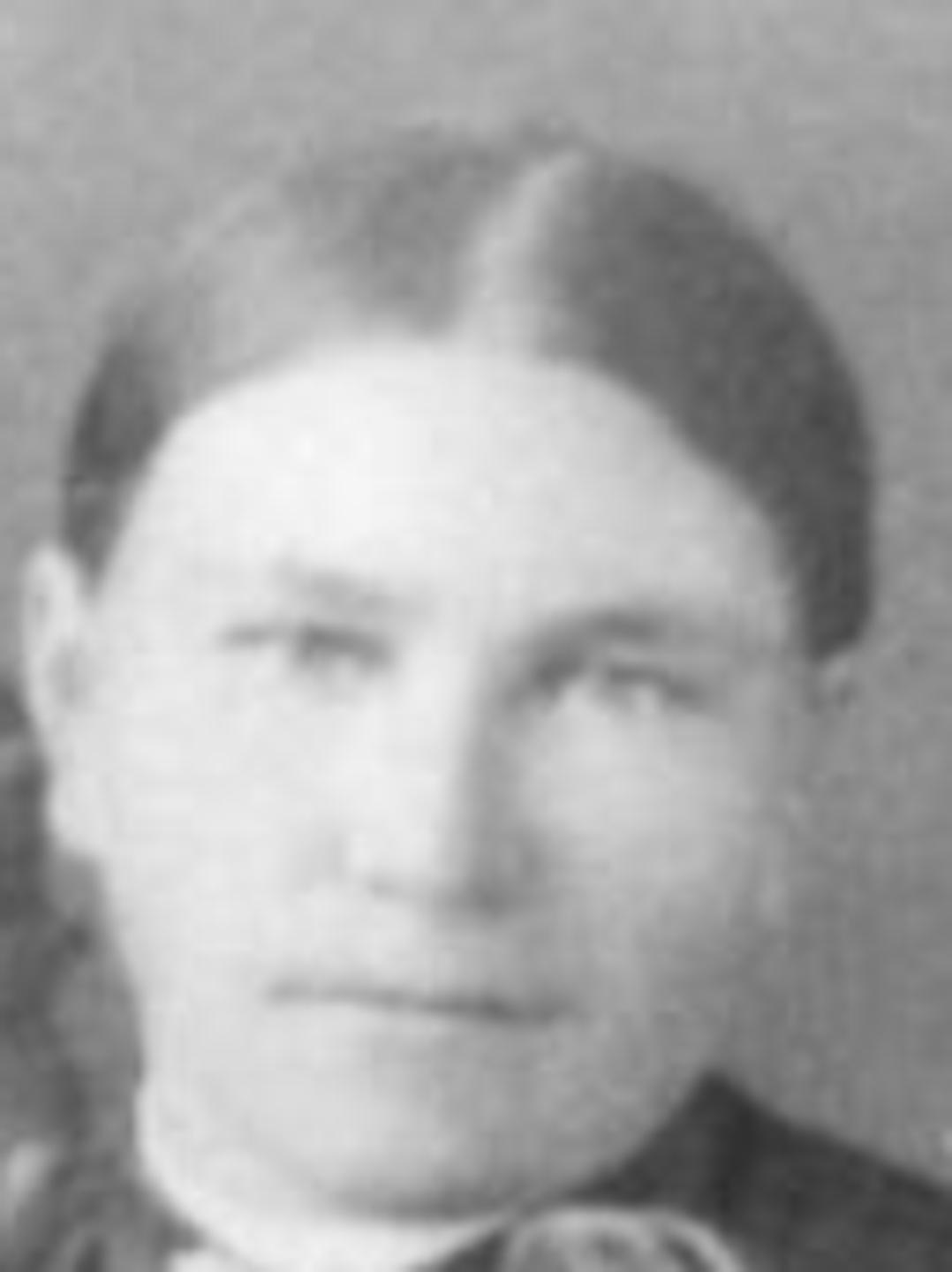 Bertha Marie Carlsen (1855 - 1946) Profile